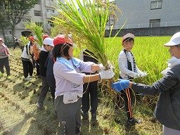 IMG_3271.jpg