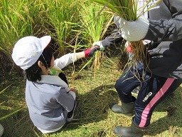 IMG_3273.jpg