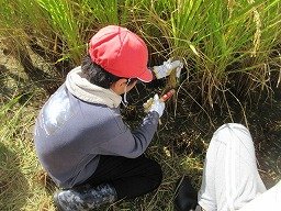 IMG_3275.jpg