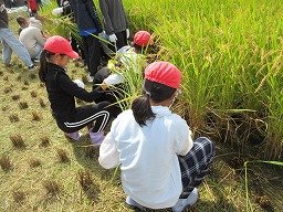 IMG_3276.jpg