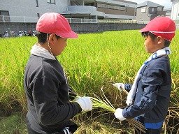 IMG_3278.jpg