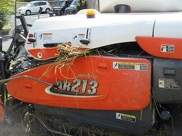 IMG_3281.jpg
