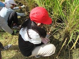IMG_3285.jpg