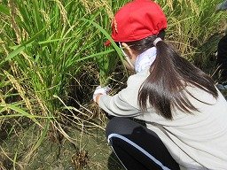 IMG_3288.jpg