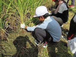 IMG_3289.jpg