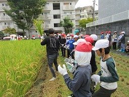 IMG_3290.jpg