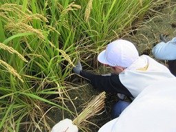 IMG_3296.jpg