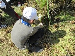 IMG_3303.jpg