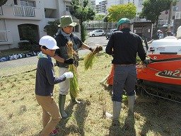 IMG_3308.jpg