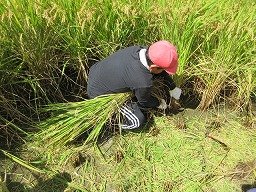 IMG_3309.jpg