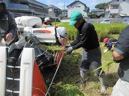 IMG_3316.jpg