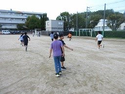 IMG_3345.jpg