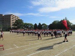 IMG_3353.jpg