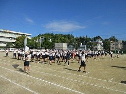 IMG_3354.jpg