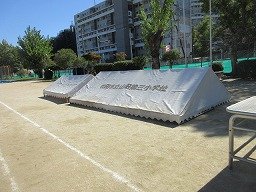 IMG_3358.jpg
