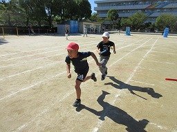 IMG_3368.jpg