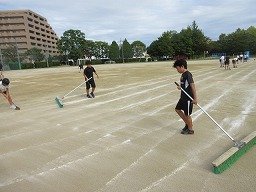 IMG_3376.jpg