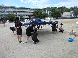 IMG_3392.jpg