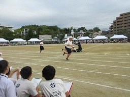 IMG_3395.jpg