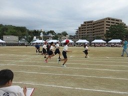 IMG_3396.jpg