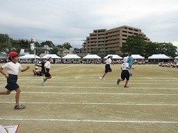 IMG_3397.jpg