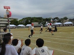 IMG_3398.jpg
