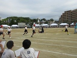 IMG_3399.jpg