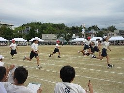 IMG_3400.jpg