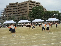 IMG_3403.jpg