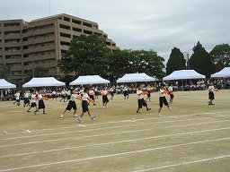 IMG_3406.jpg