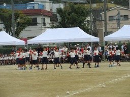 IMG_3409.jpg