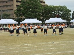 IMG_3411.jpg