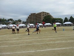IMG_3413.jpg