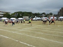 IMG_3414.jpg