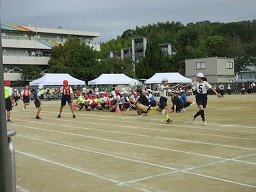 IMG_3417.jpg