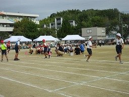 IMG_3419.jpg