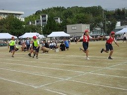 IMG_3420.jpg