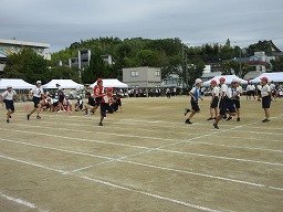 IMG_3422.jpg