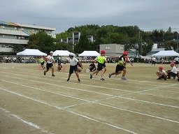 IMG_3425.jpg
