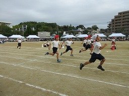 IMG_3427.jpg