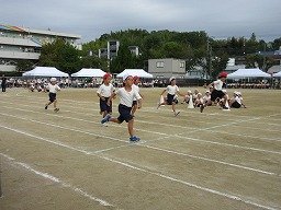 IMG_3428.jpg