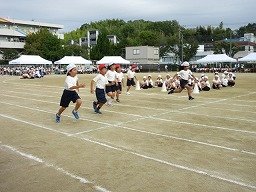 IMG_3431.jpg