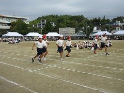 IMG_3432.jpg