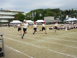 IMG_3434.jpg