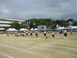 IMG_3437.jpg