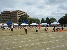 IMG_3439.jpg