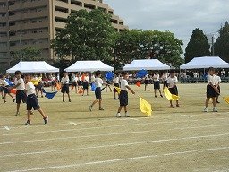 IMG_3441.jpg