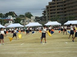 IMG_3442.jpg