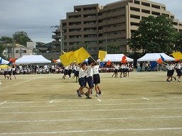 IMG_3444.jpg
