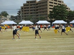 IMG_3446.jpg